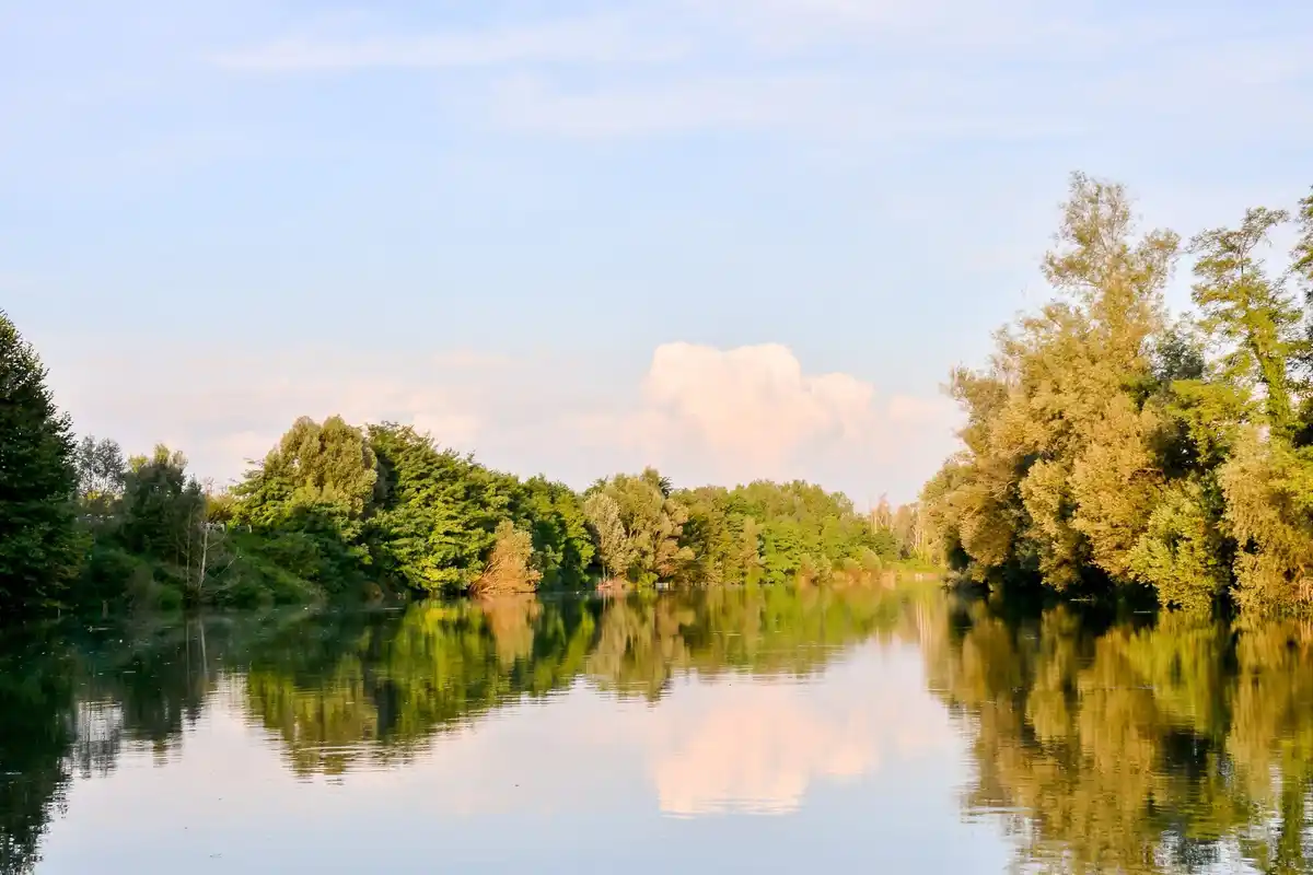 nederlandse rivier zomeravond landschap
