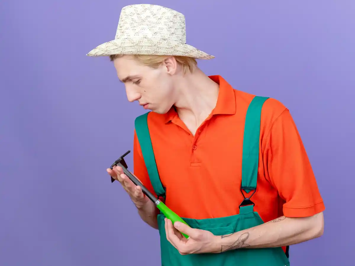 archeologist examining old coins netherlands