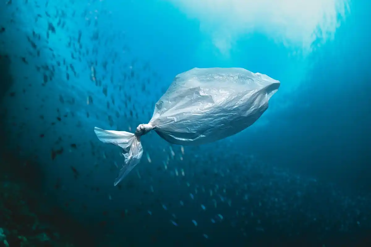sea turtle plastic pollution dramatic