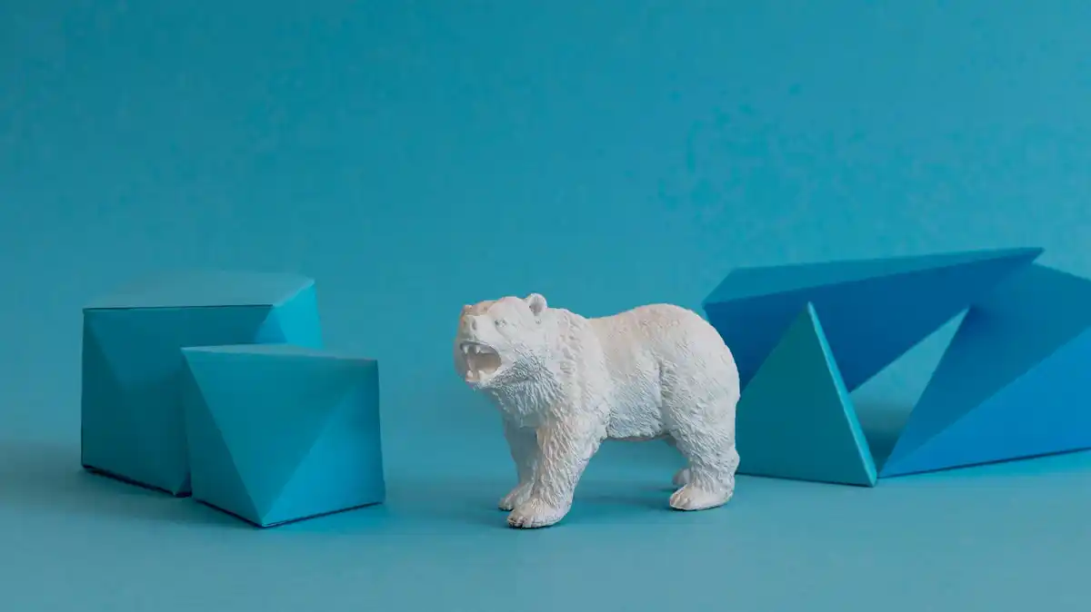 polar bear adaptation no snow