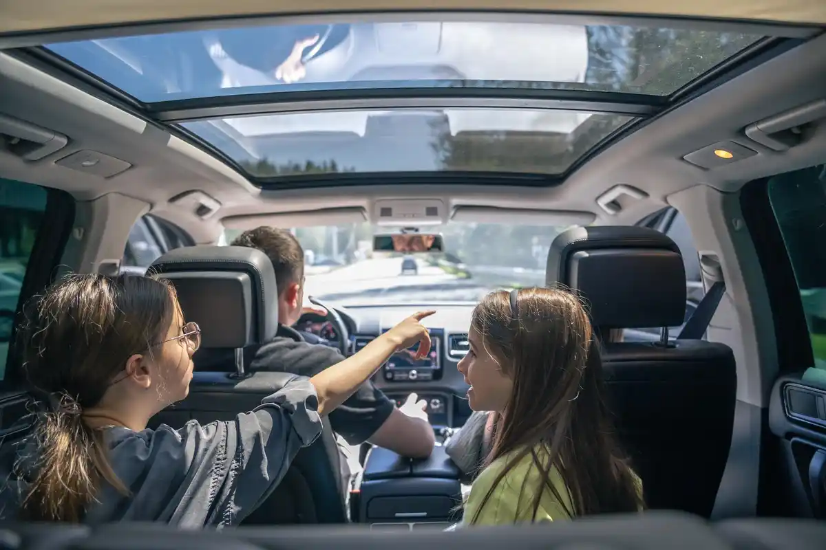 tesla car privacy concern interior netherlands