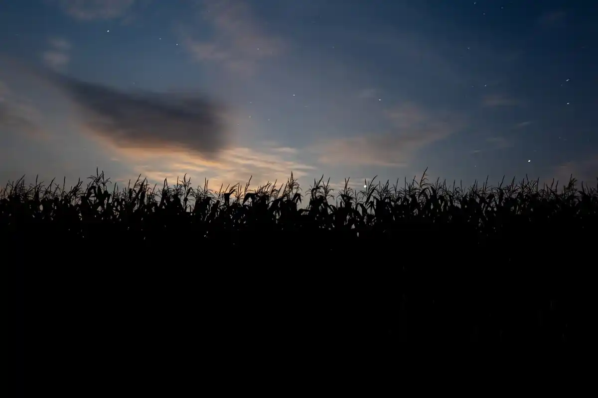 amateur astrophotography night sky backyard netherlands