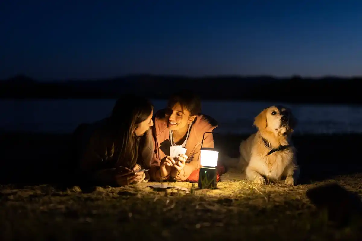 family on balcony using stargazing app in dutch city night
