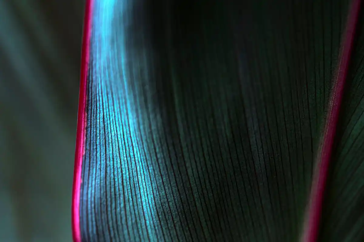 ultra thin MXene material close up macro