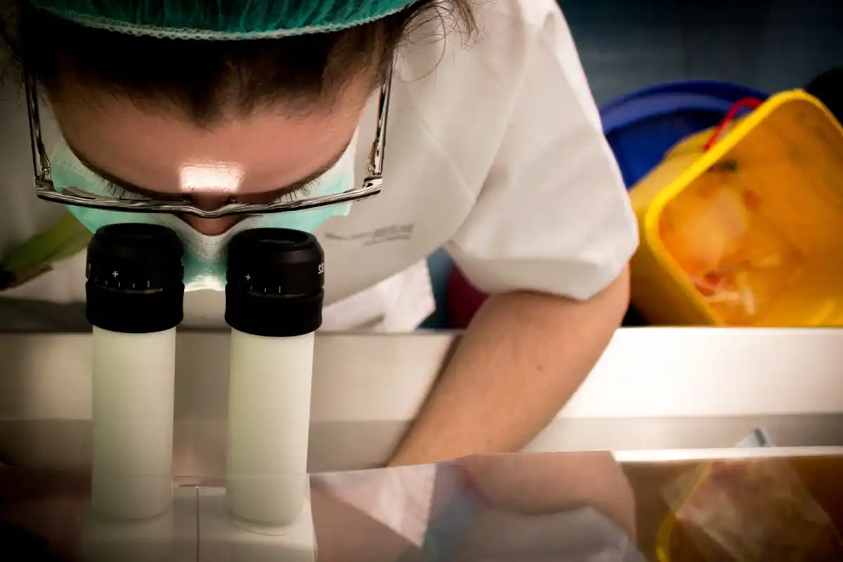 scientists working lunar samples laboratory netherlands
