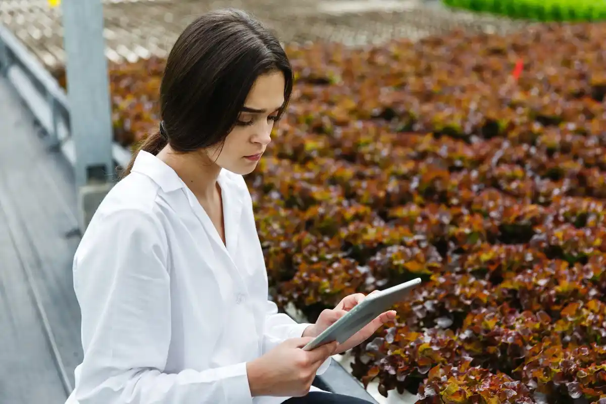 scientist using smartphone for environmental monitoring netherlands