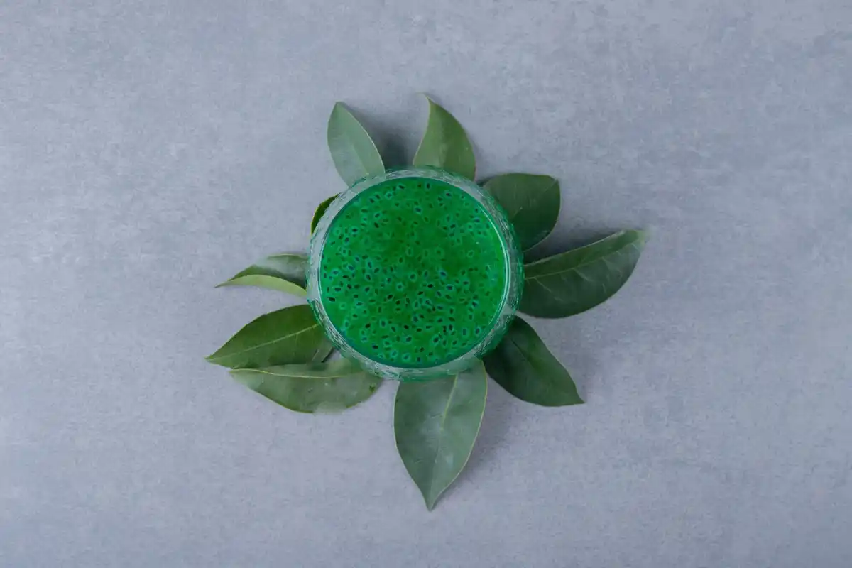 sustainable algae based material