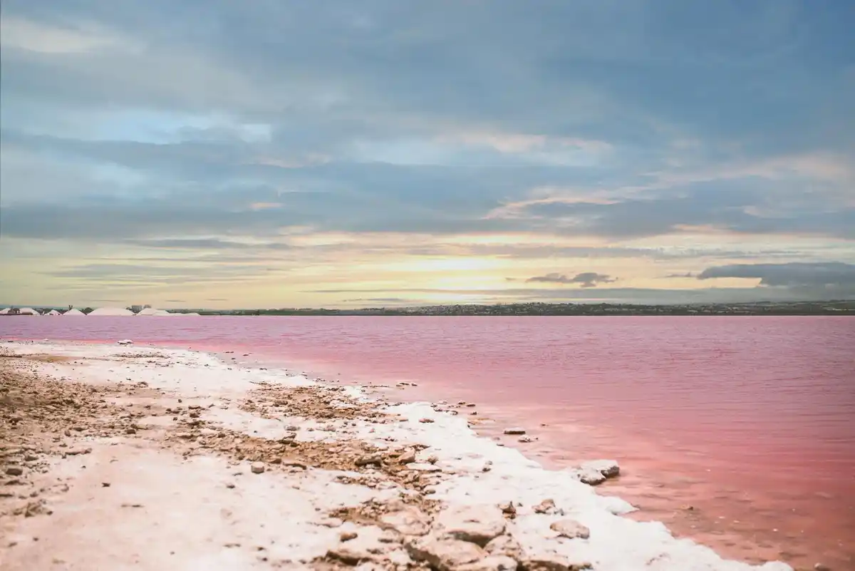 pink lake drone view summer Australia