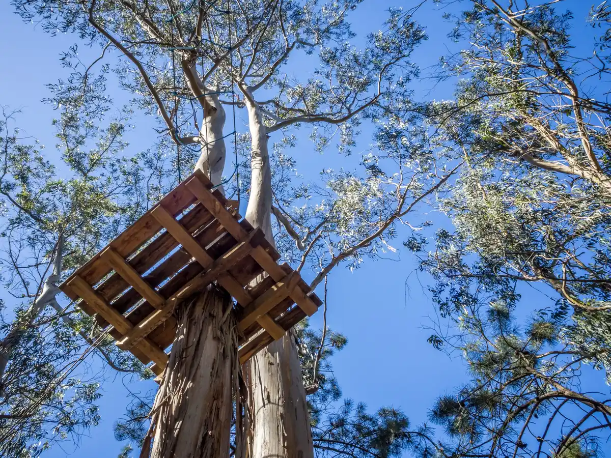 unique tree tent glamping Dutch nature