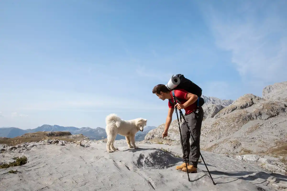 hiking trail rainbow mountain peru local people alpacas