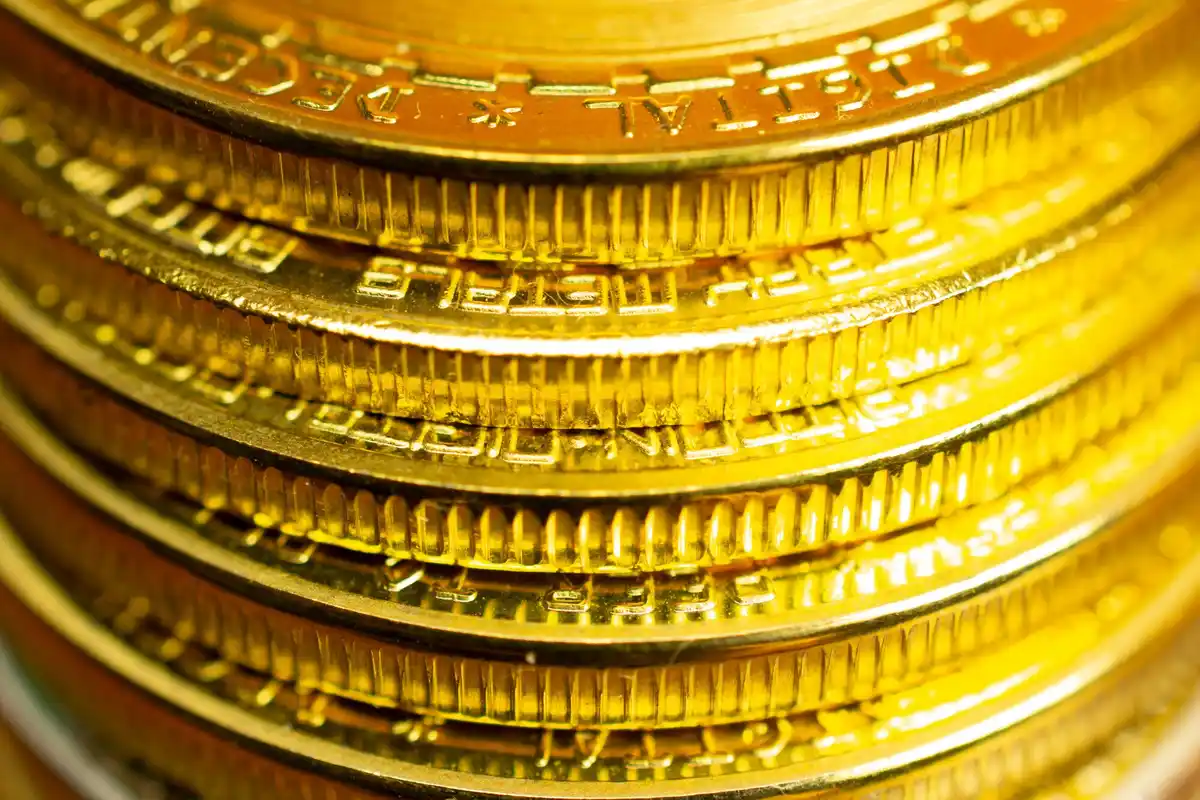 zeldzame nederlandse gulden munt close-up waardevol geld