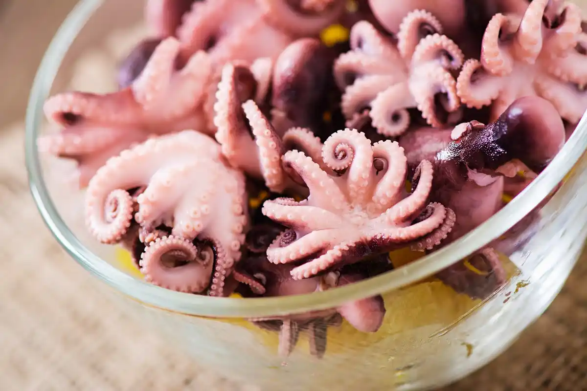 octopus using tools or opening jar