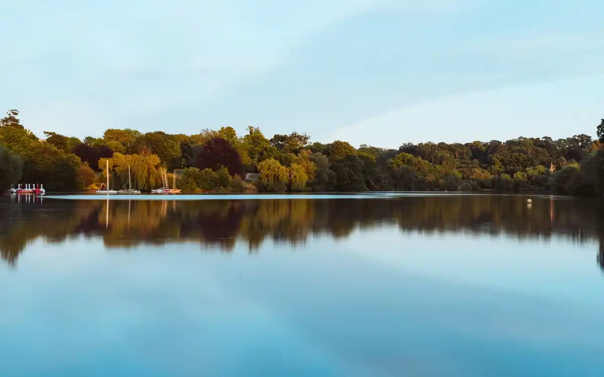 upside down lake reflection netherlands