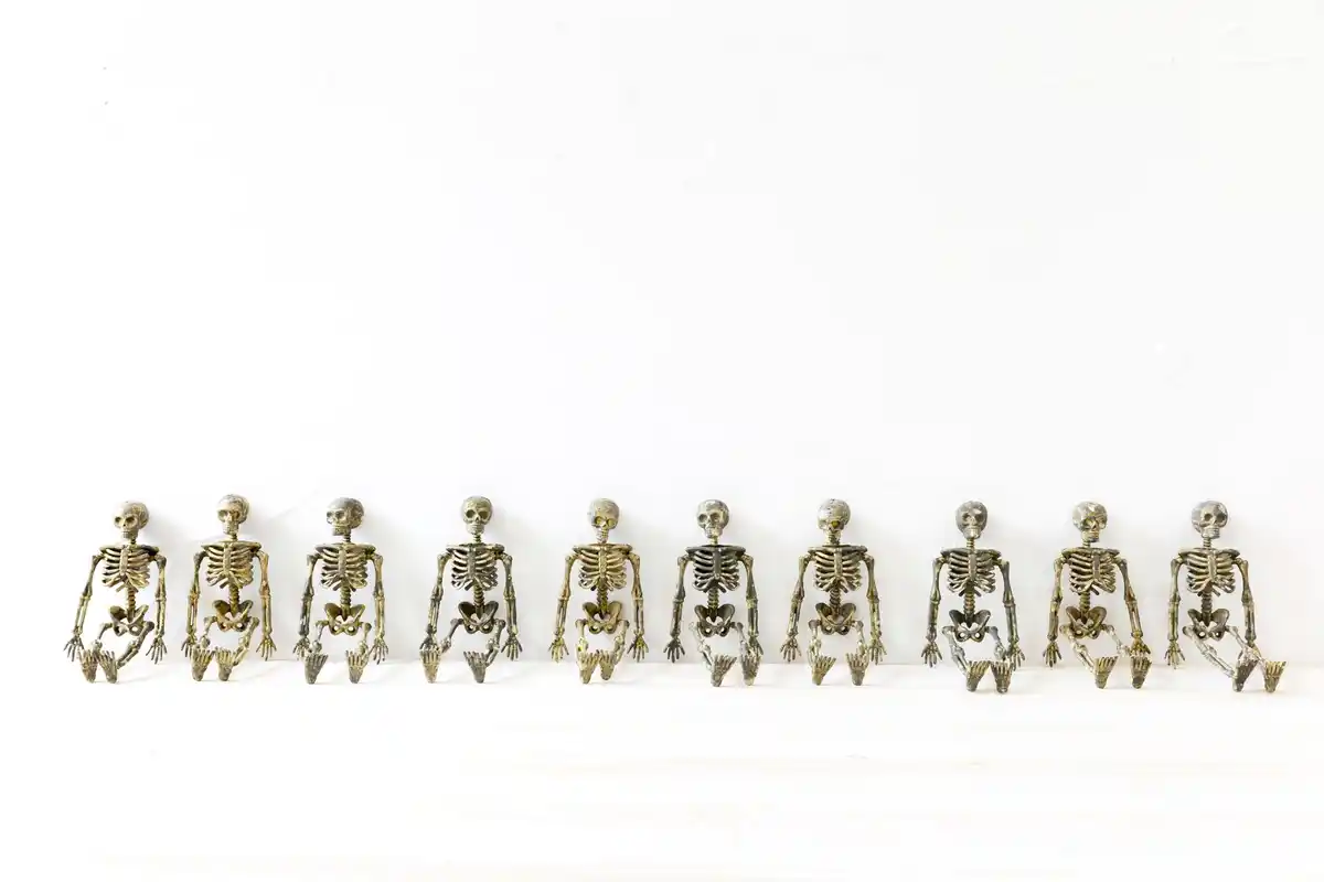 ancient mummy DNA sequencing