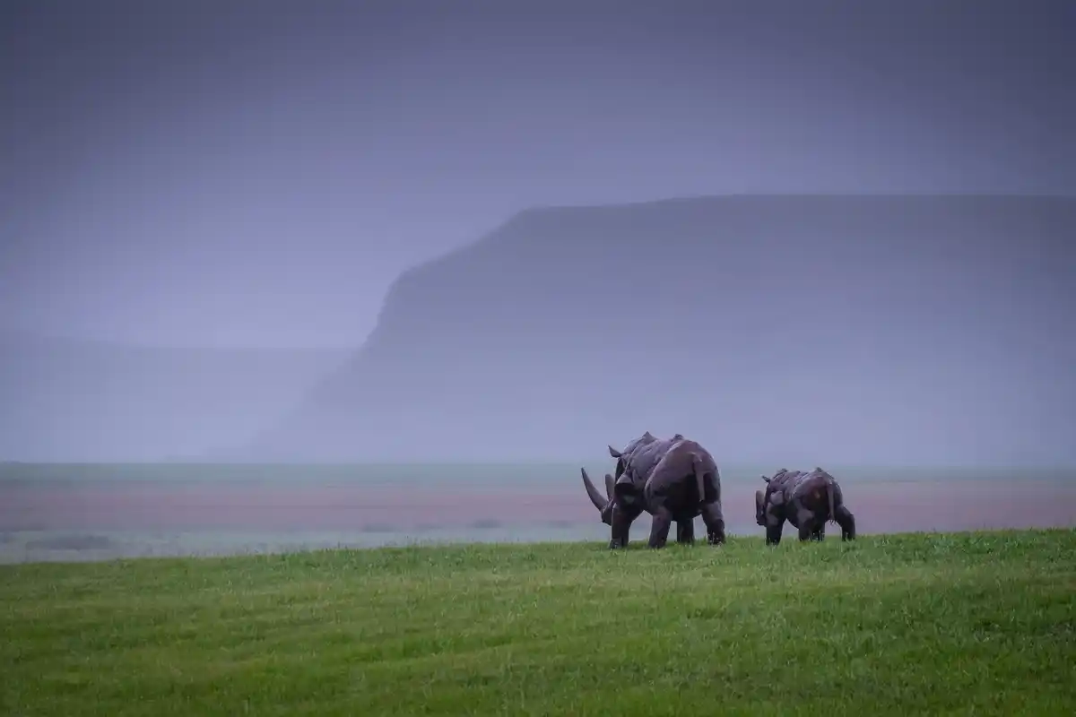 grieving elephant herd standing near a deceased elephant in the wild