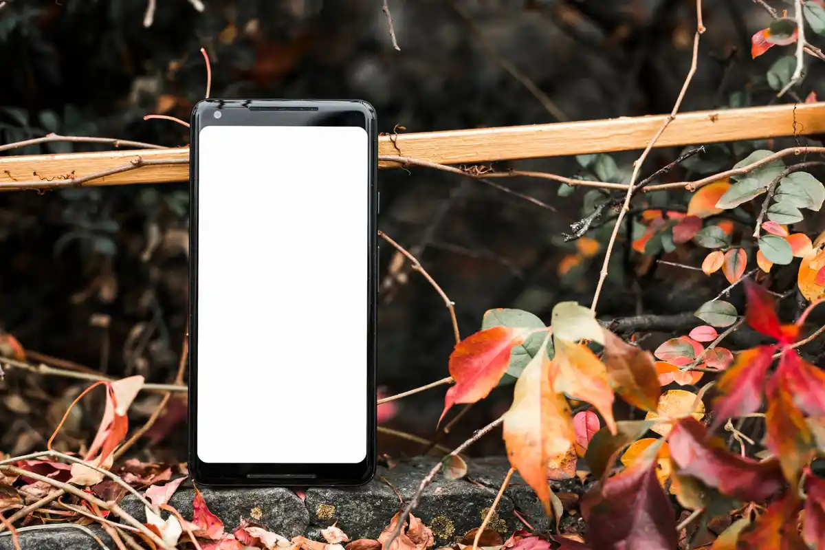 modern xiaomi smartphone display netherlands