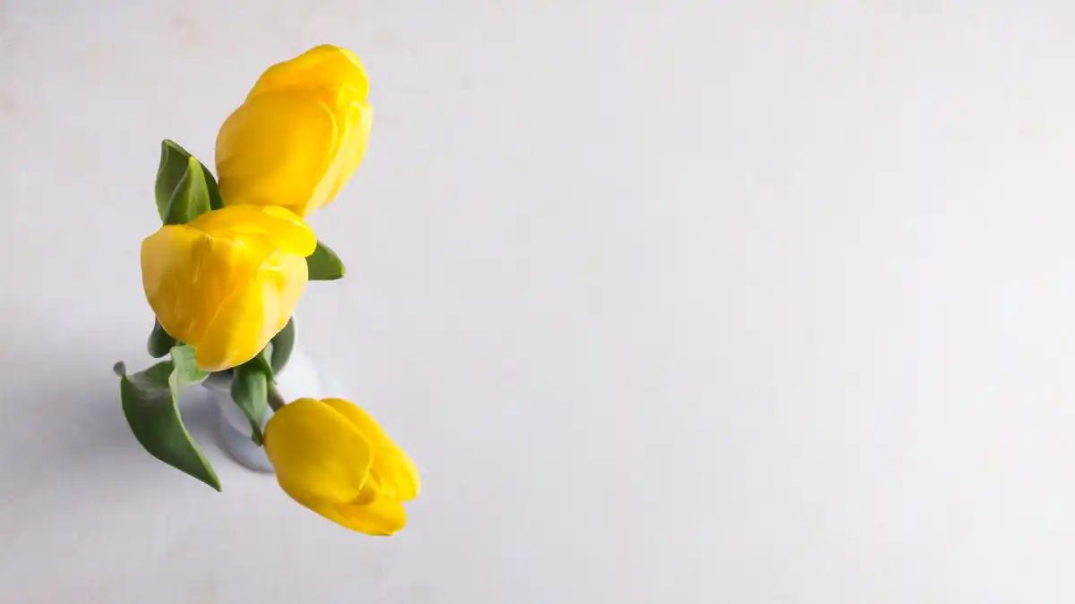 yellow accents Dutch interior design spring flowers