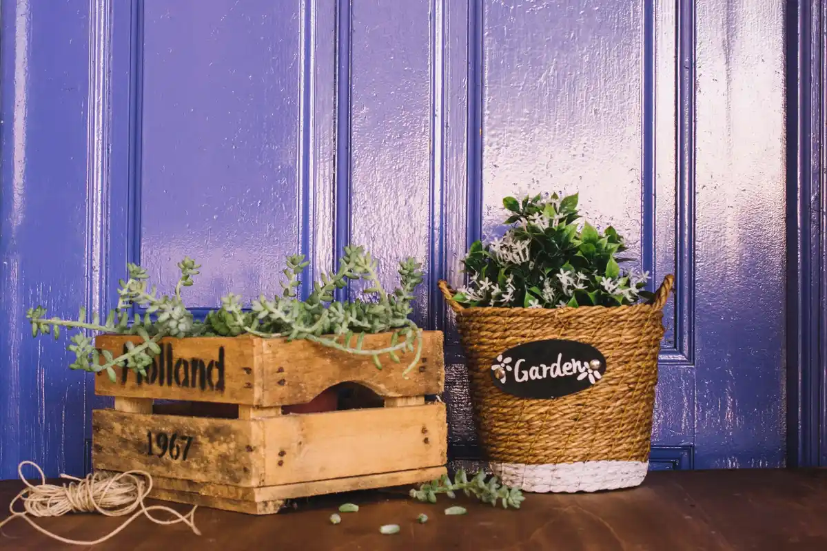 colorful herbs kitchen netherlands home