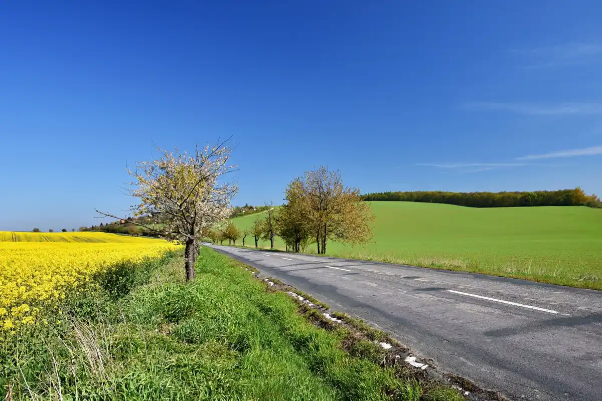 gravity hill optical illusion road netherlands summer