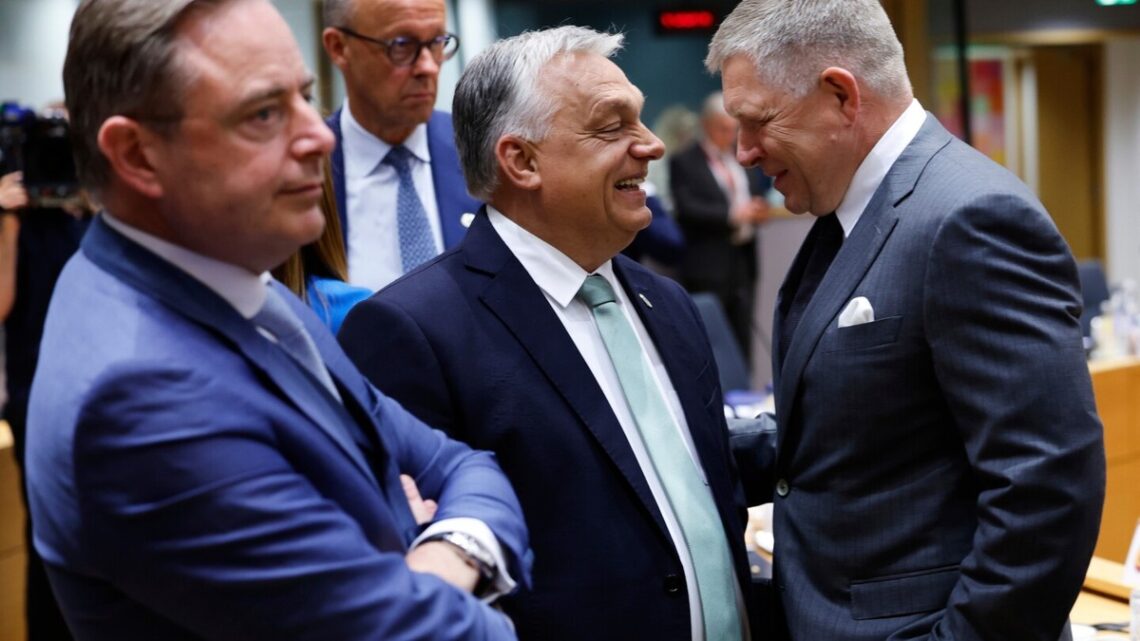 De delicate balans van België in de EU: tussen nationale belangen en Europese solidariteit