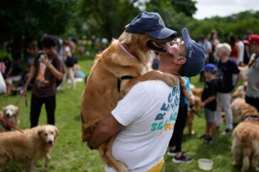 Een symfonie van geblaf: Wat er gebeurt wanneer 2.397 Golden Retrievers samenkomen in een park in Argentinië