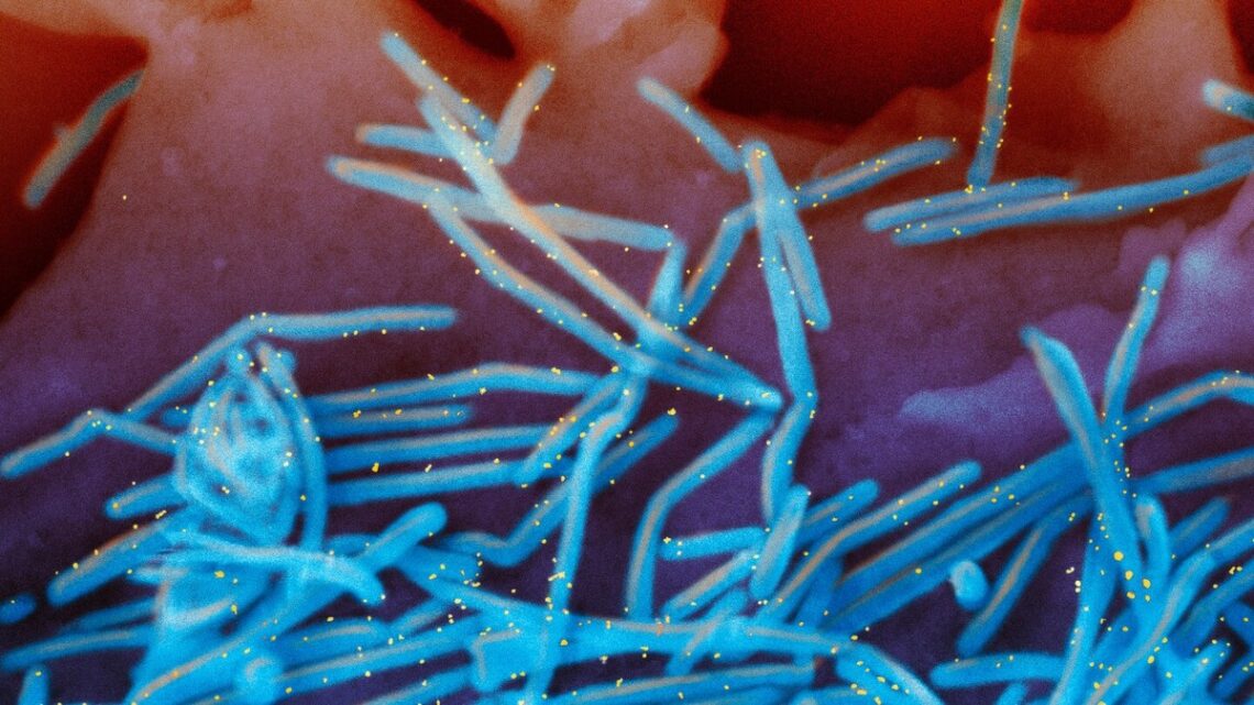 Hoeveel risico vormt de griepepidemie deze winter?