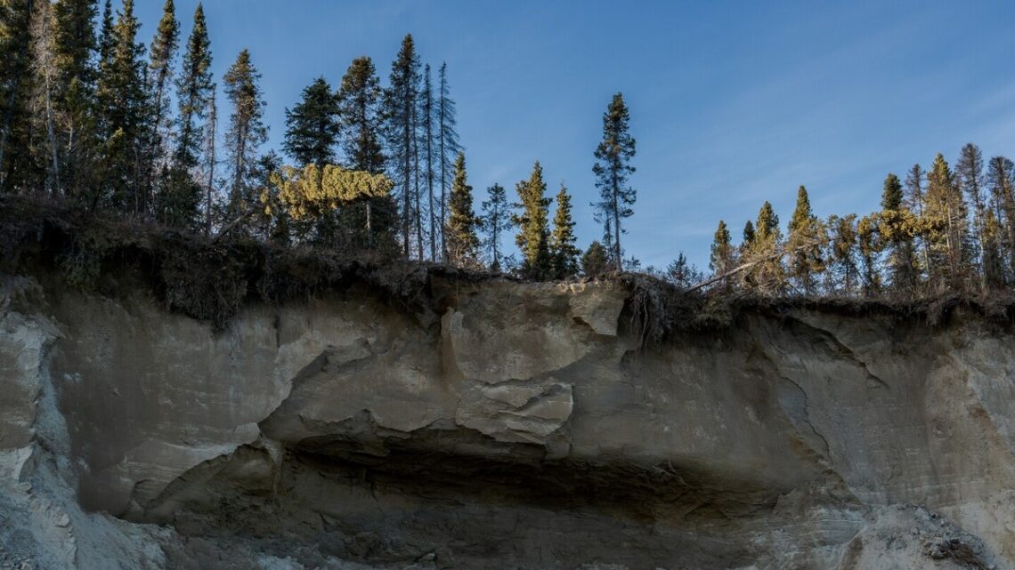 Implicaties en Controverses rond de Ambler Aansluitingsweg in Alaska