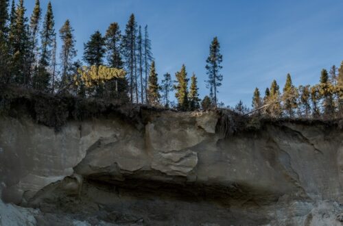 Implicaties en Controverses rond de Ambler Aansluitingsweg in Alaska