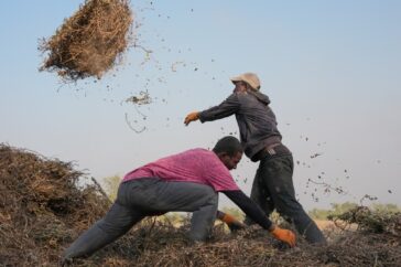 Jonge Afrikanen vinden hoop in de landbouw te midden van stijgende stedelijke kosten