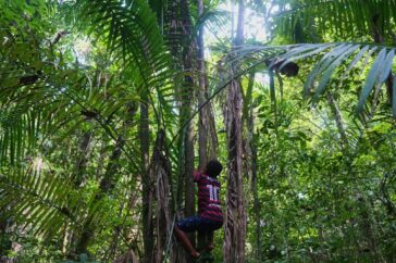 Lokale gemeenschappen in Brazilië vechten voor erkenning en behoud van hun land en bos
