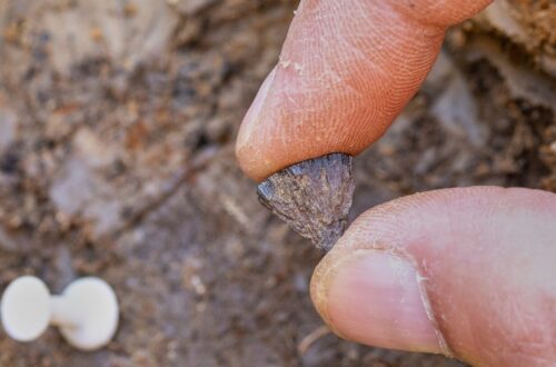 Onderzoek onthult dat mensen al 400.000 jaar vuur maakten, eeuwen eerder dan gedacht