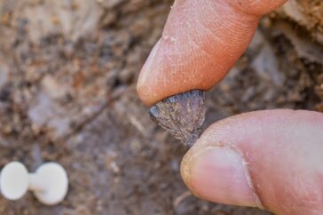 Oude menselijke vlammen: bewijzen van gecontroleerd vuurgebruik 400.000 jaar geleden in Engeland