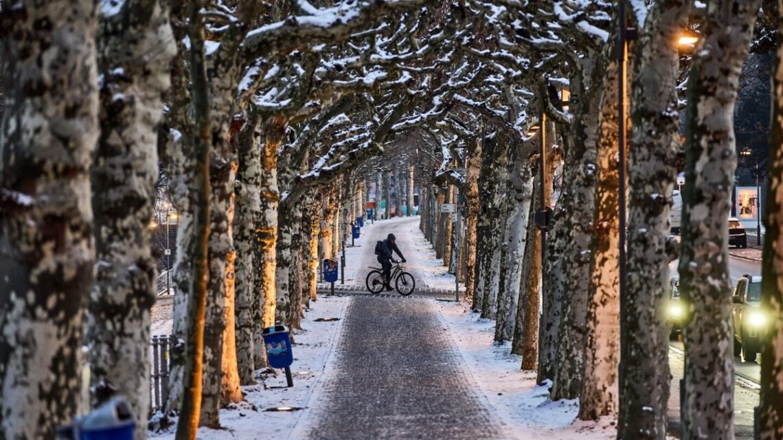 Oriëntatie op de winterse chaos: sneeuw en ijs verstoren het Europese vervoer en reizen